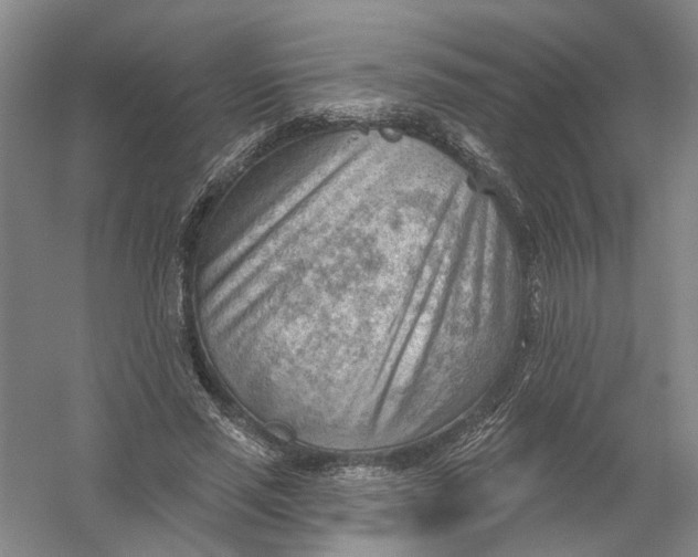 X0000054400637200508192006