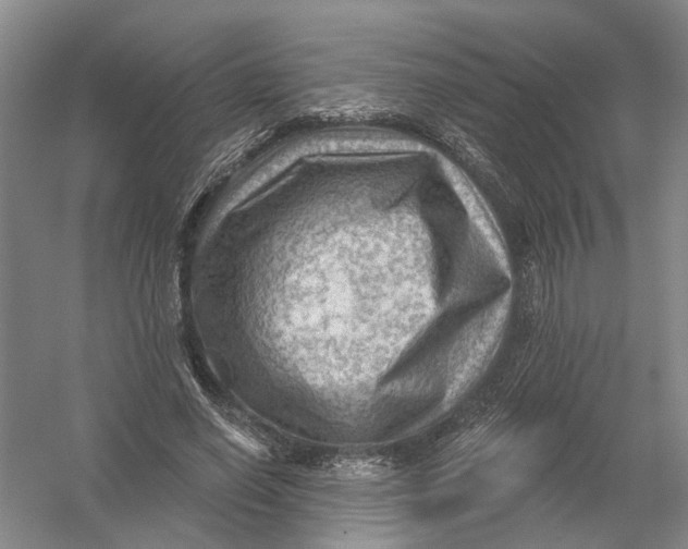 X0000054400638200508192006