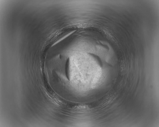 X0000054400639200508192006