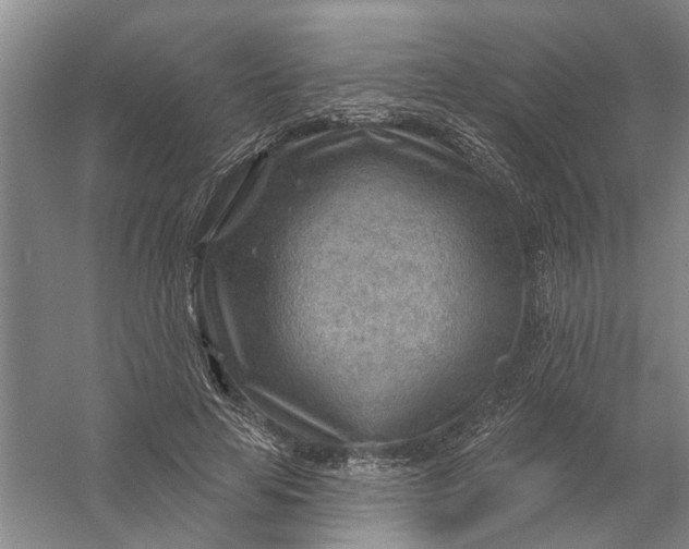 X0000054400641200508192006