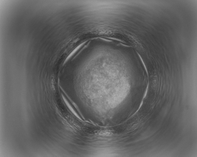 X0000054400643200508192006