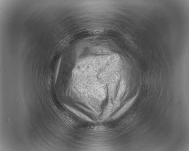 X0000054400645200508192006