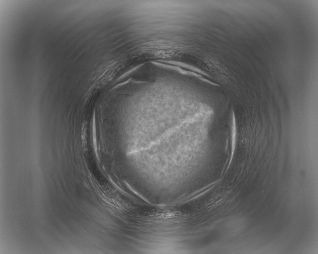 X0000054400646200508192006