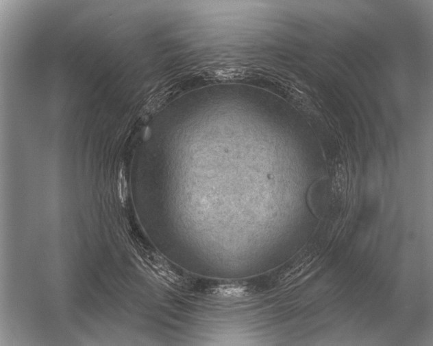 X0000054400651200508192006