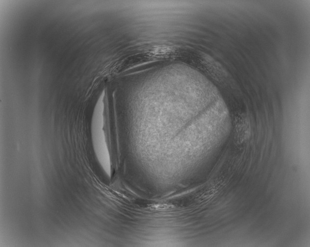 X0000054400654200508192006