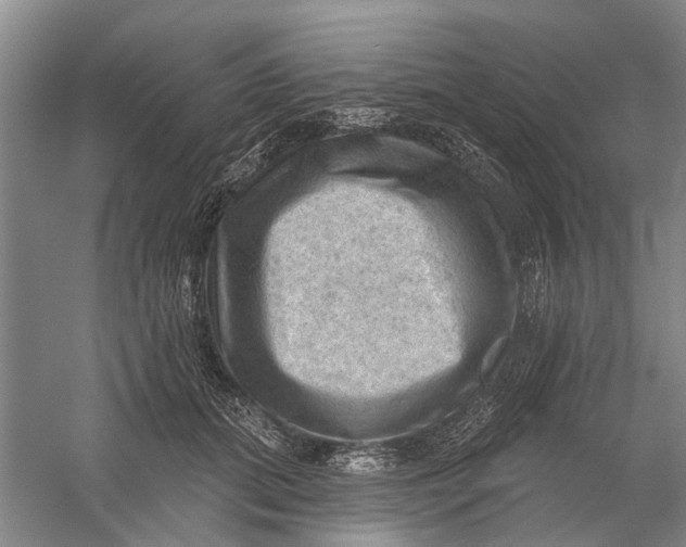 X0000054400655200508192006