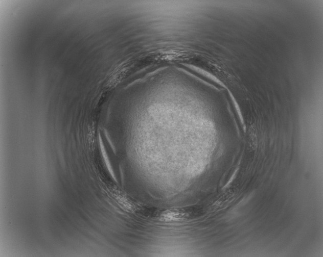 X0000054400657200508192006