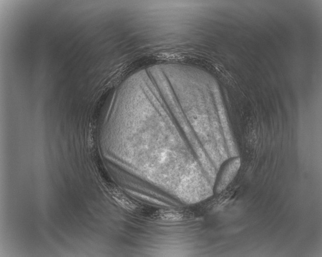 X0000054400658200508192006