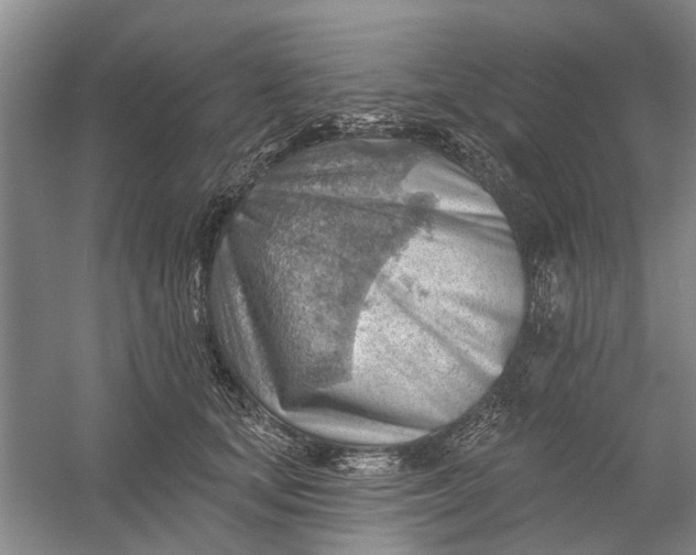 X0000054400659200508192006