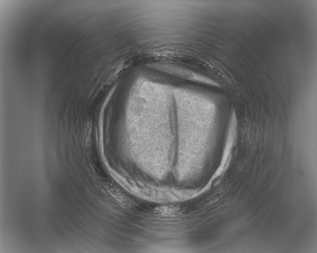 X0000054400660200508192006