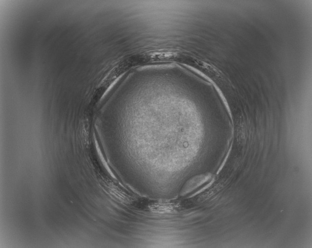 X0000054400661200508192006