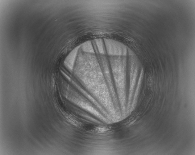 X0000054400662200508192006