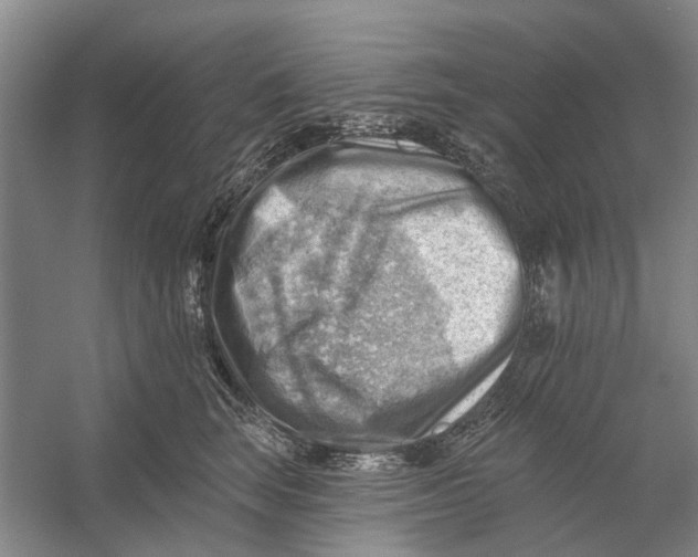 X0000054400663200508192006