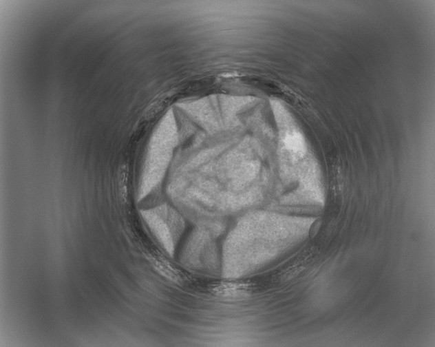 X0000054400664200508192006