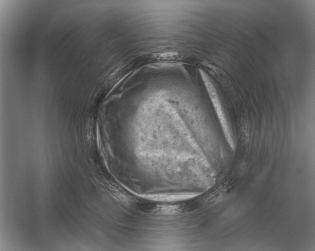 X0000054400665200508192006