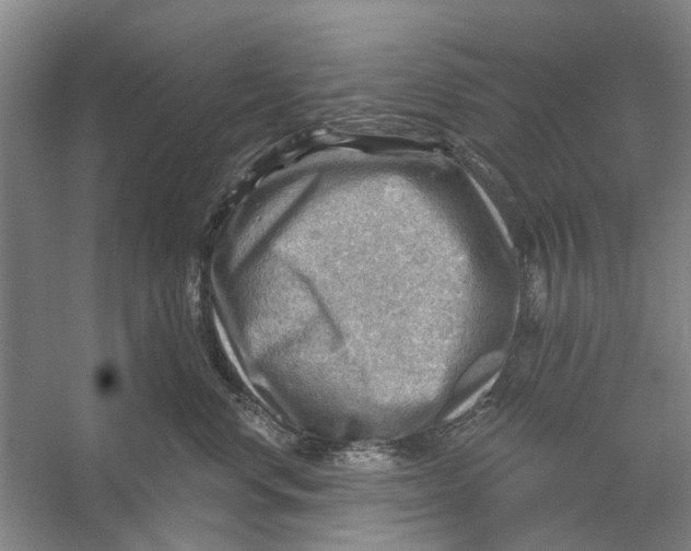 X0000054400668200508192006