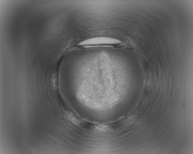 X0000054400669200508192006