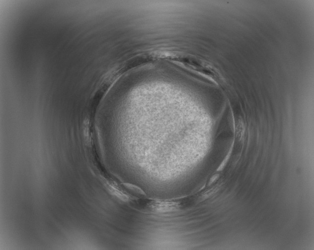 X0000054400670200508192006