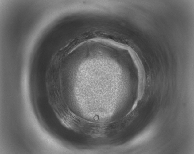 X0000054400671200508192006