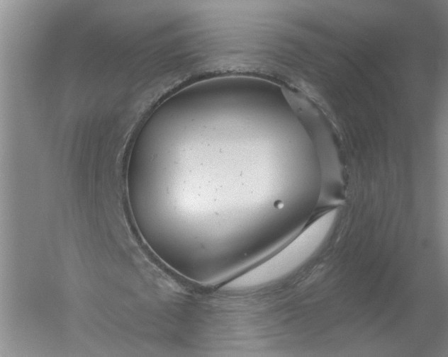 X0000054400673200508192006