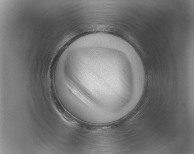 X0000054400674200508192006