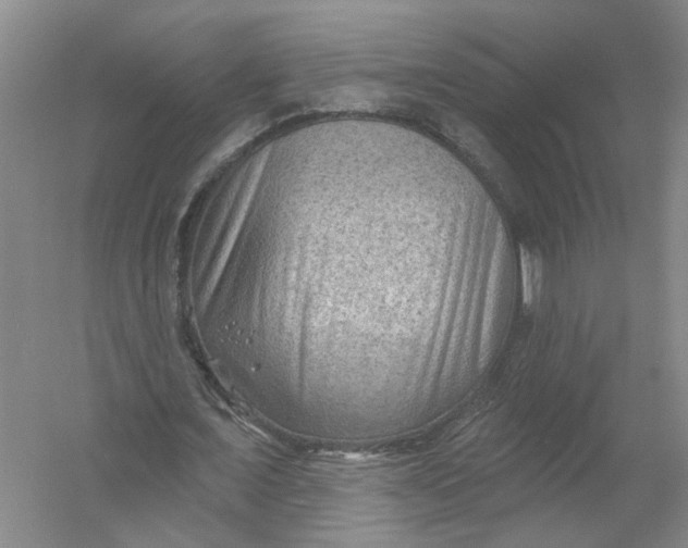 X0000054400675200508192006