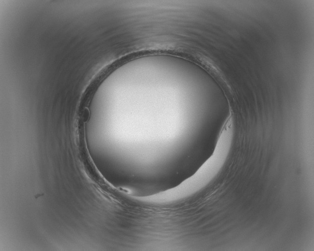 X0000054400676200508192006