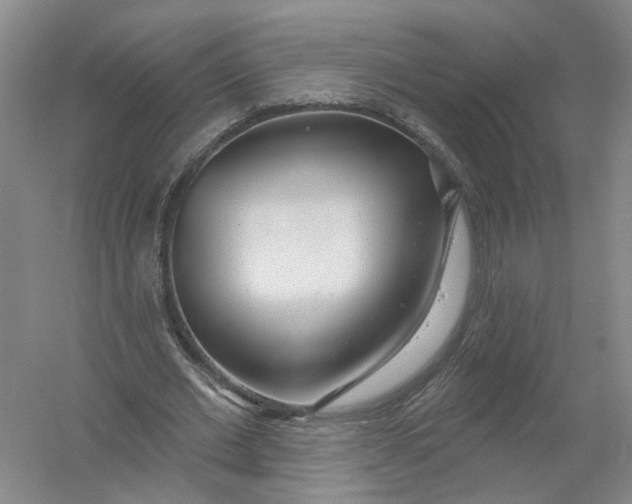 X0000054400677200508192006