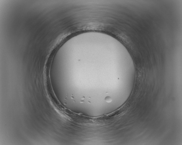 X0000054400678200508192005