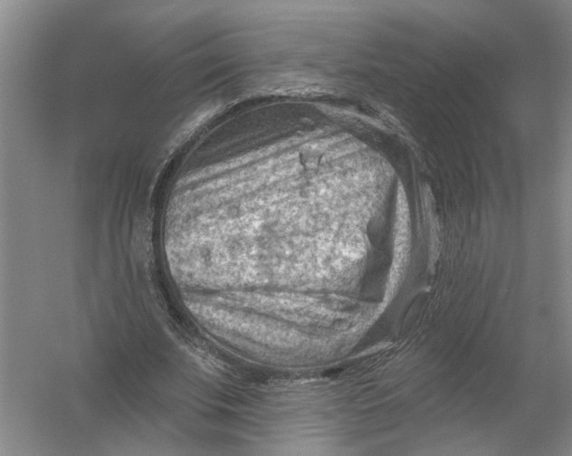 X0000054400679200508192005