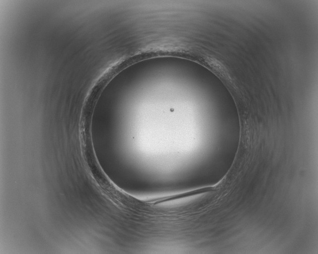 X0000054400680200508192005