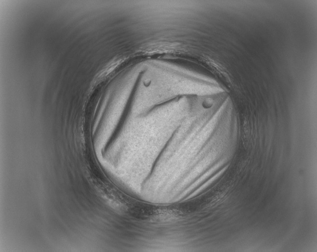 X0000054400682200508192005