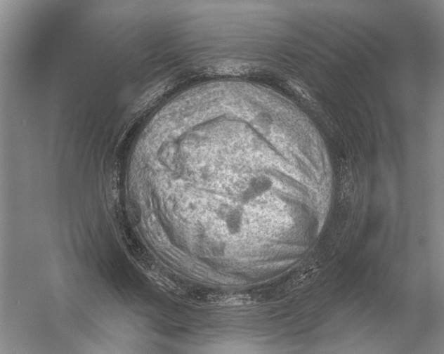 X0000054400683200508192005