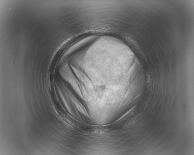 X0000054400684200508192005