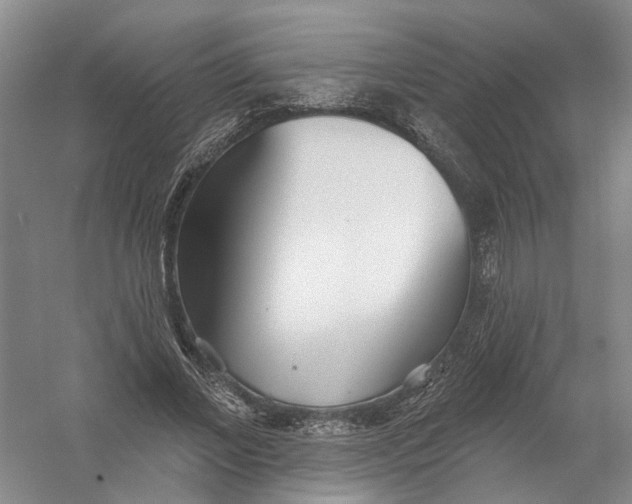 X0000054400685200508192005