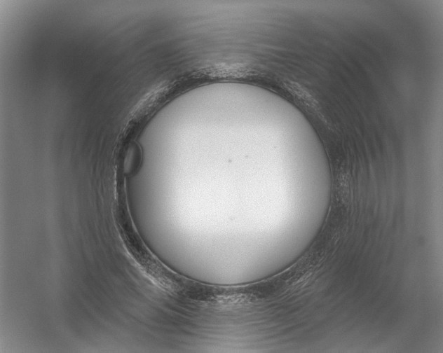 X0000054400686200508192005