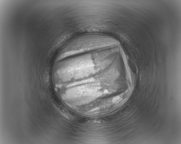 X0000054400687200508192005