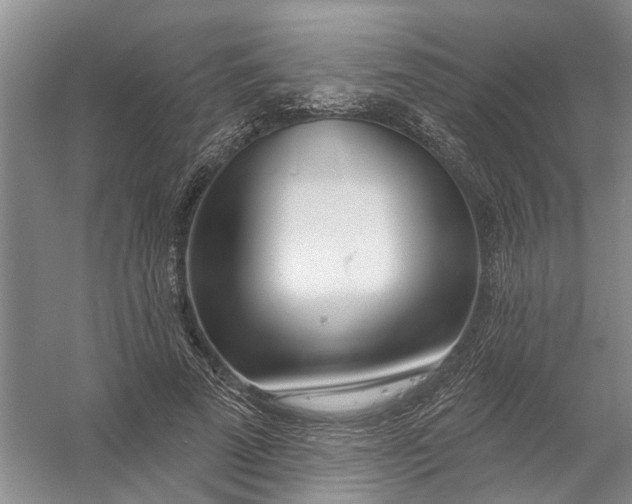 X0000054400689200508192005