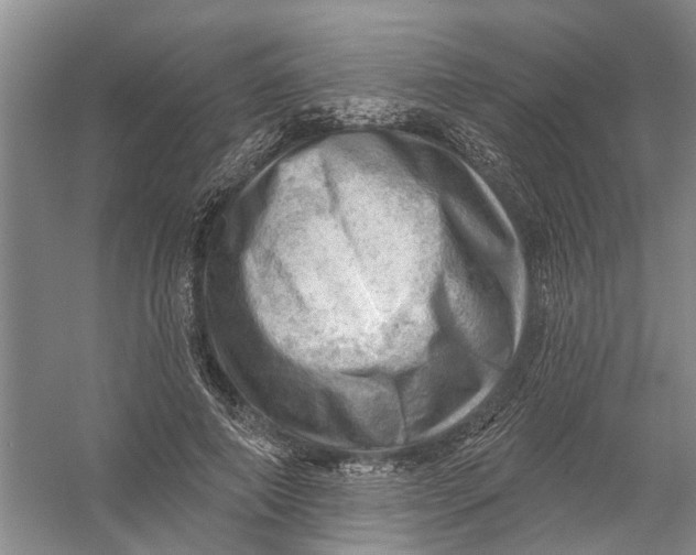 X0000054400690200508192005