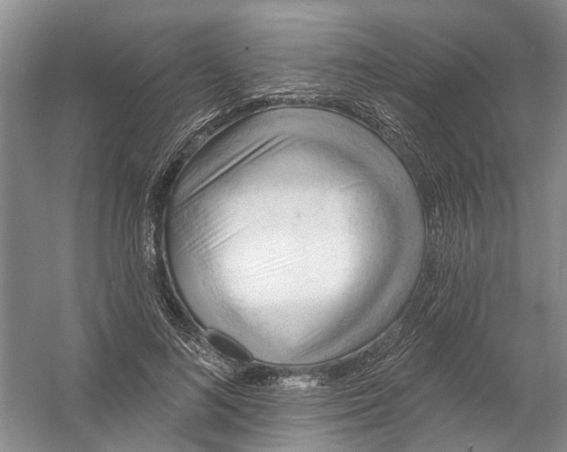 X0000054400692200508192005