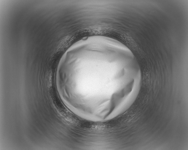 X0000054400694200508192005