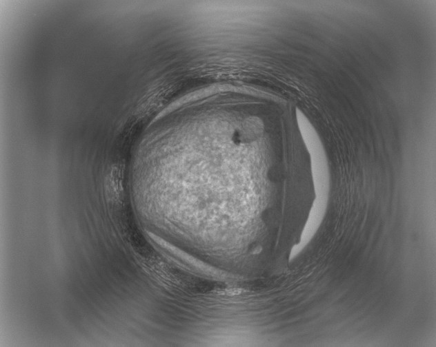 X0000054400695200508192005