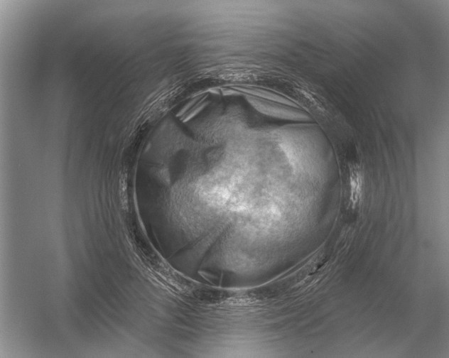 X0000054400696200508192005