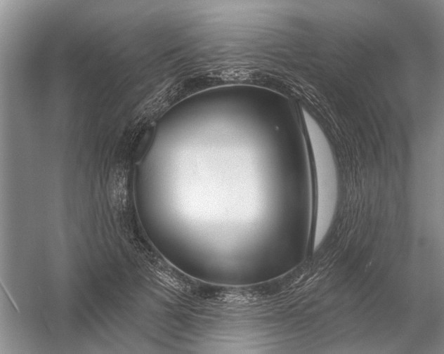 X0000054400697200508192005