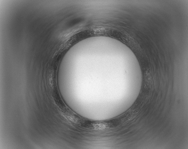 X0000054400698200508192005