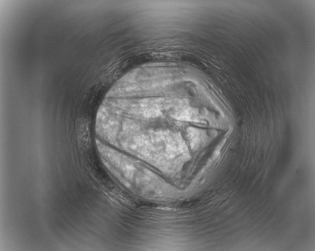 X0000054400699200508192005