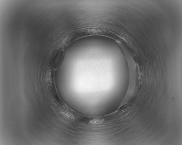 X0000054400700200508192005