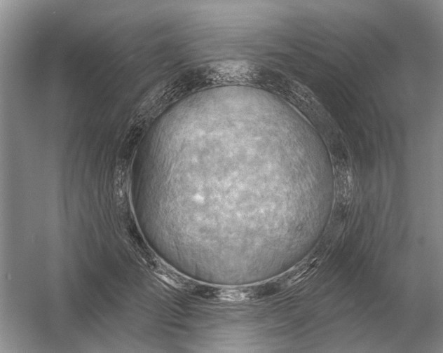 X0000054400701200508192005