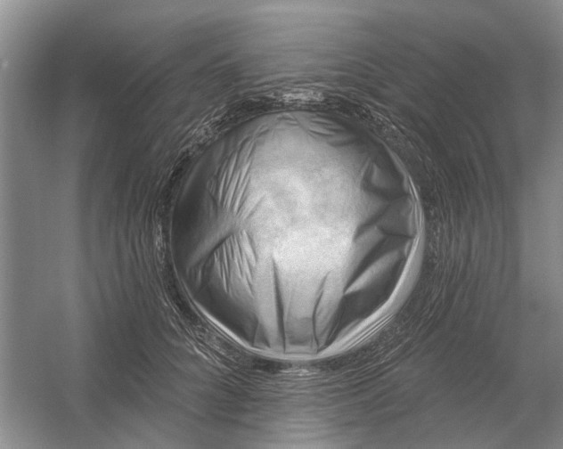 X0000054400704200508192005