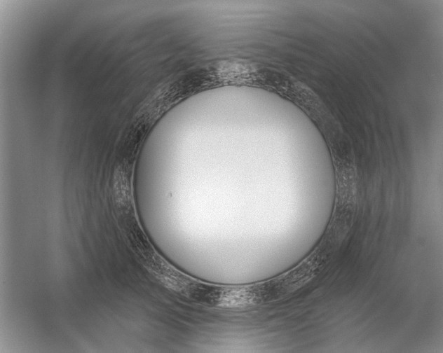 X0000054400705200508192005